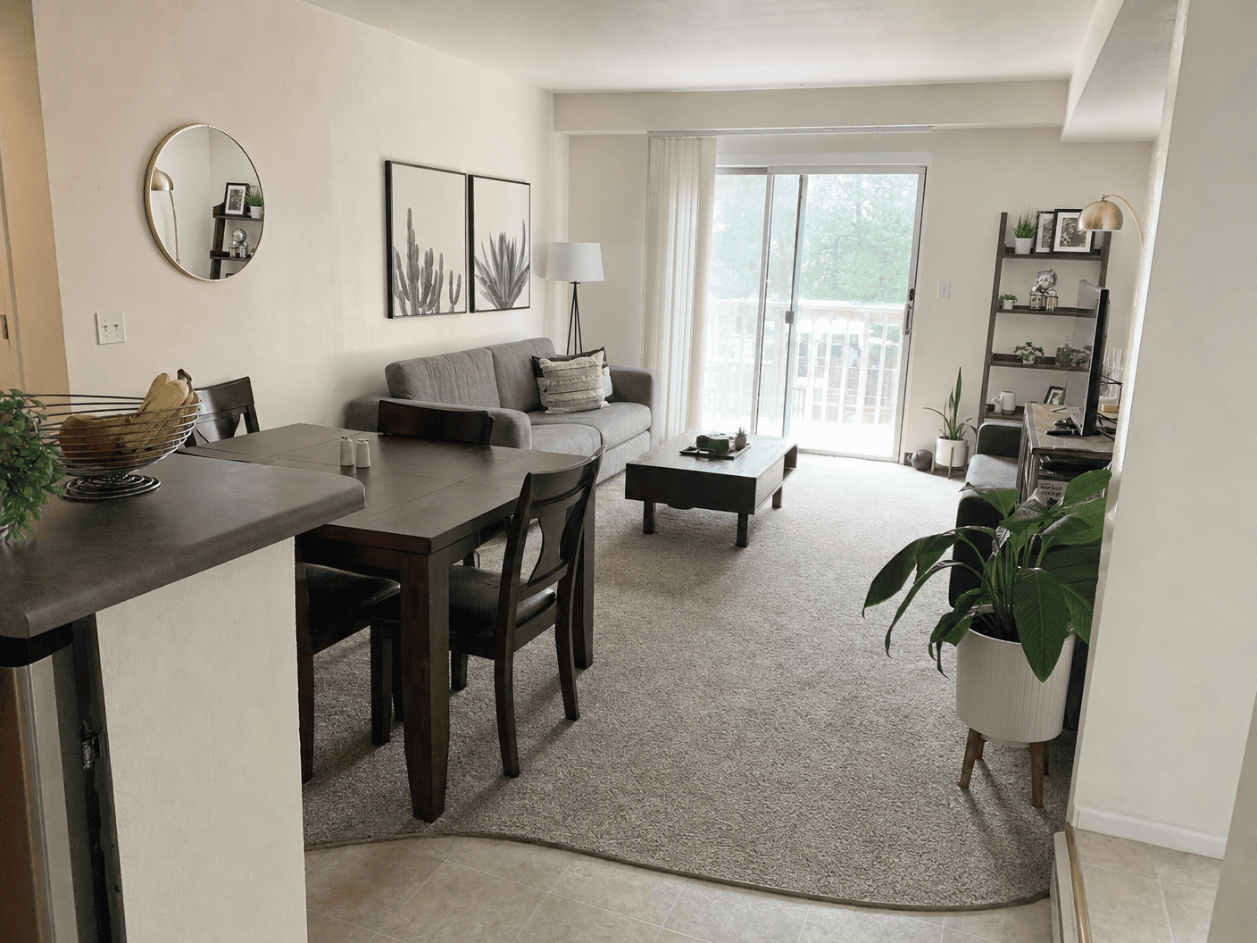 Apartment Living cleaned by MAS DC